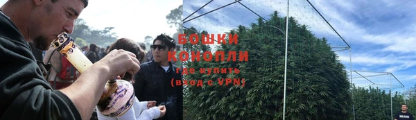 прущий лед Бородино