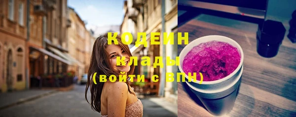 прущий лед Бородино
