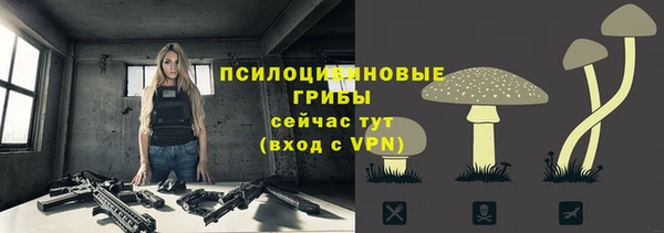 МДПВ Бронницы