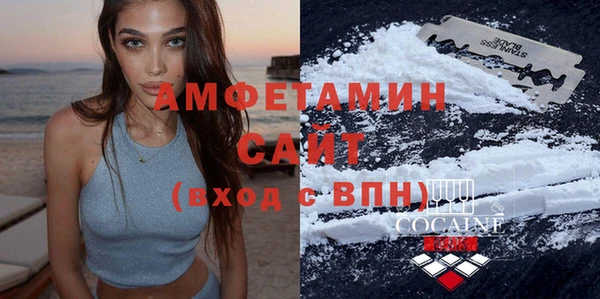 прущий лед Бородино