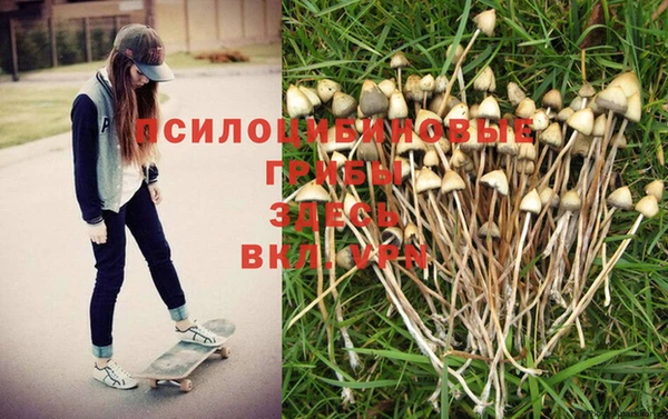 прущий лед Бородино