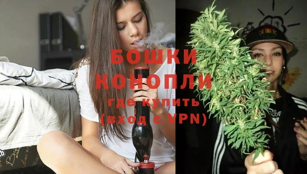 прущий лед Бородино
