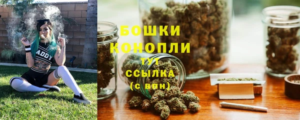 МДПВ Бронницы