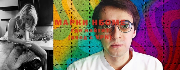 прущий лед Бородино