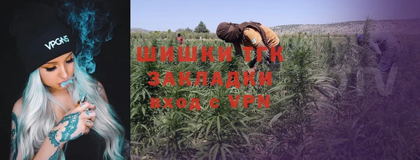 МДПВ Бронницы