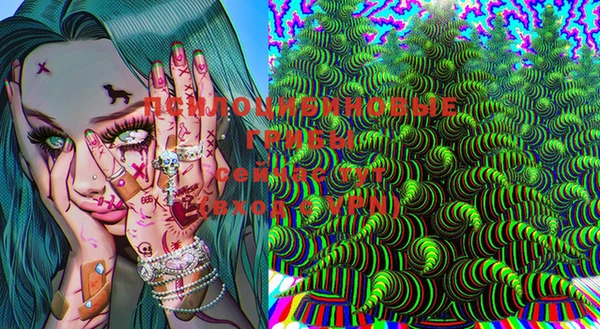 МДПВ Бронницы