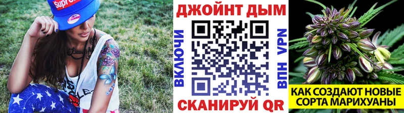 Каннабис марихуана  Шенкурск 
